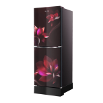 Whirlpool Fresh Magic Pro 278L Inverter Floret Red Refrigerator - Image 3