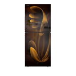 Conion BEW-230GD-BM3 (Gold) Refrigerator