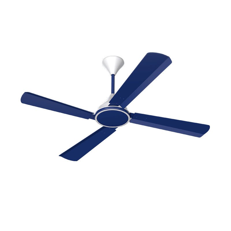 Conion Signature Fan Blue