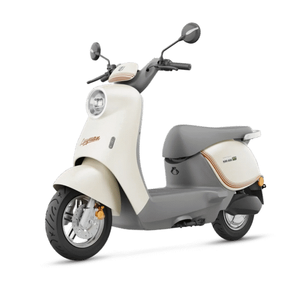 LUYUAN MOK Electric Scooter