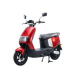 Julong G25 Electric Bike